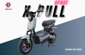 X Bull Sport