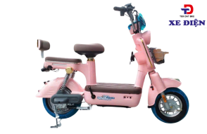 XE ĐẠP ĐIỆN 9